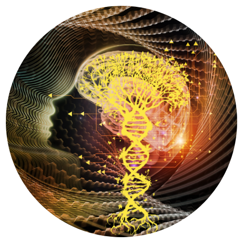 BENEFÍCIOS RESSIGNIFICAR INFORMAÇÕES TRANSGERACIONAIS ellen cristine